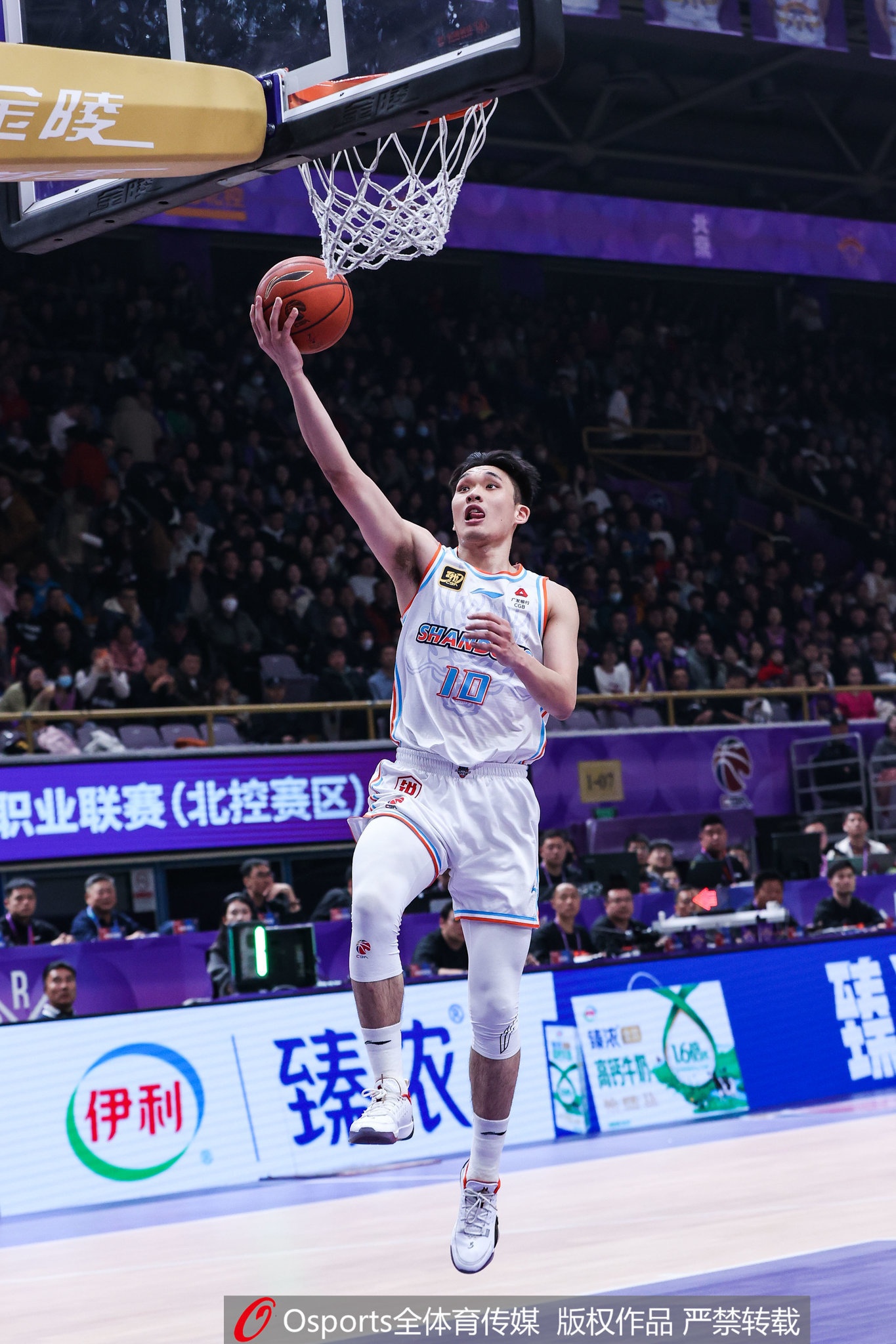 2024年状元秀！媒体人：山西汾酒男篮租借得到谢智杰